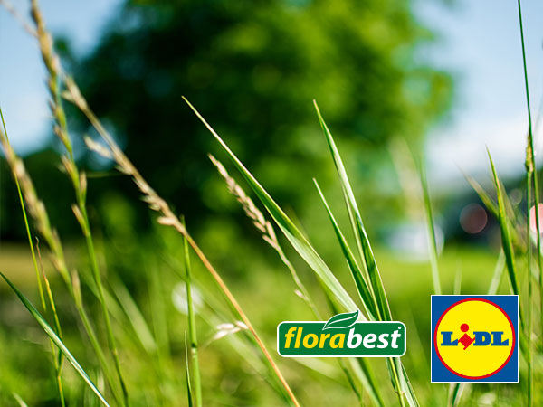 Florabest petrol deals lawnmower
